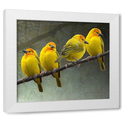 Golden Taveta Weavers White Modern Wood Framed Art Print by Vest, Christopher