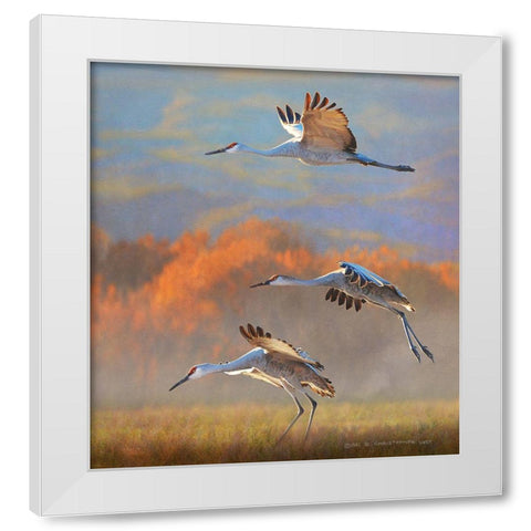 Mid Morning at the Bosque White Modern Wood Framed Art Print by Vest, Christopher
