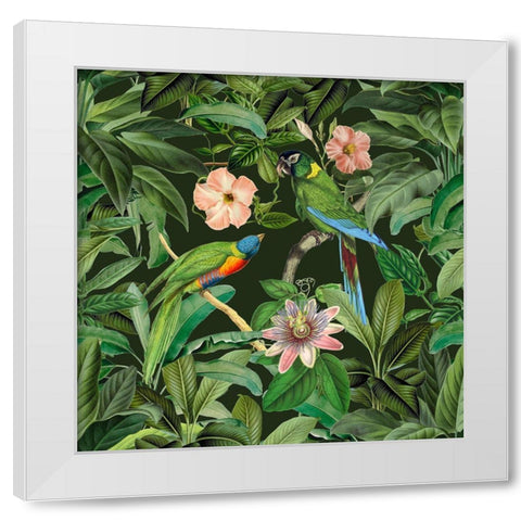 Exotic Paradise Jungle Birds White Modern Wood Framed Art Print by Haase, Andrea