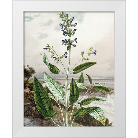 Wild Shoot IV White Modern Wood Framed Art Print by Smith, Karen