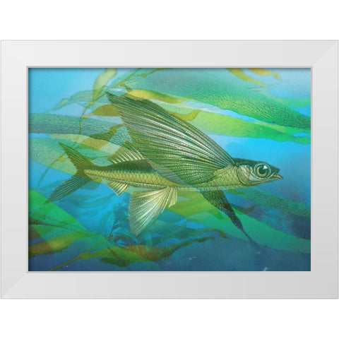 Seaweed Swimmer I White Modern Wood Framed Art Print by Hunziker, Steve