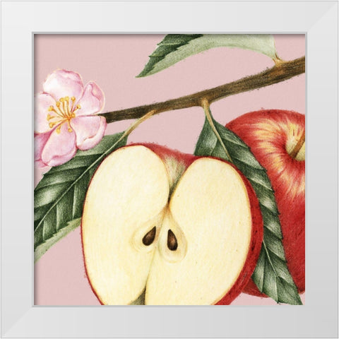 JuiceyFruit IV White Modern Wood Framed Art Print by Hunziker, Steve