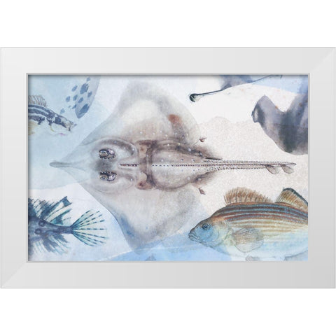 Deep Sea IV White Modern Wood Framed Art Print by Hunziker, Steve