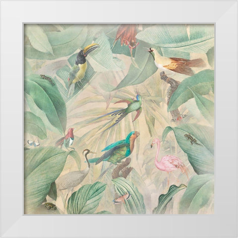 Vintage Tropics II White Modern Wood Framed Art Print by Hunziker, Steve