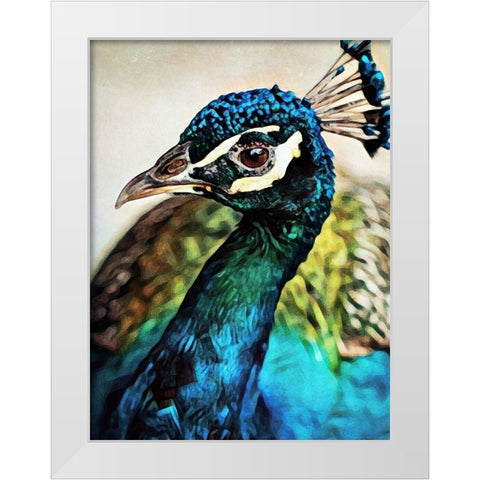 Peacock Pretty And Proud White Modern Wood Framed Art Print by Aldridge, Ashley