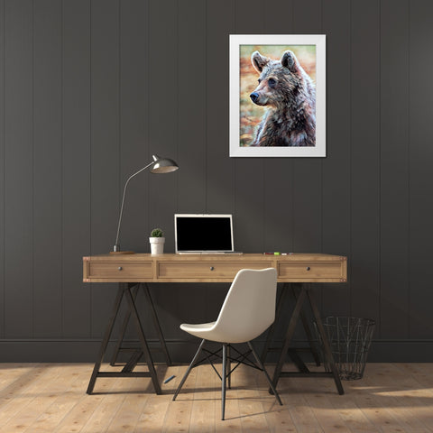Brown Bear Seated Surveillance White Modern Wood Framed Art Print by Aldridge, Ashley