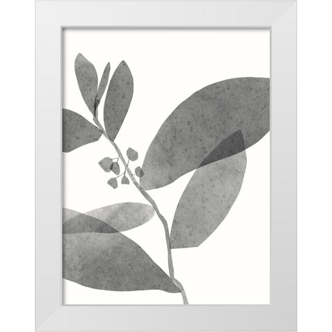 New Roots II White Modern Wood Framed Art Print by Holman, Nicholas