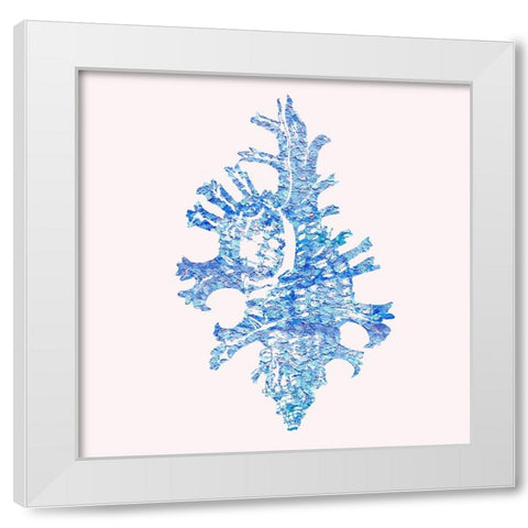 Bahama Shell II White Modern Wood Framed Art Print by Guillen, Surma