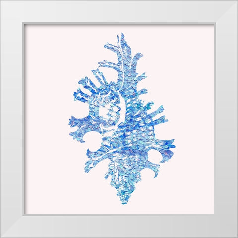 Bahama Shell II White Modern Wood Framed Art Print by Guillen, Surma