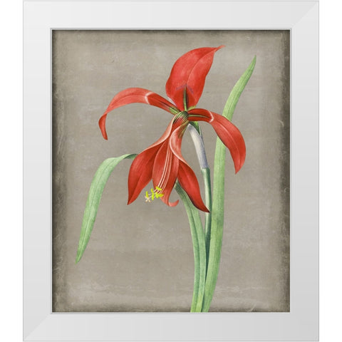 Inthered II White Modern Wood Framed Art Print by Smith, Karen