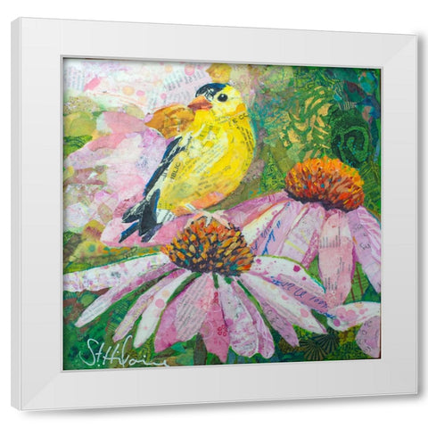Finch on Coneflowers White Modern Wood Framed Art Print by St Hilaire, Elizabeth