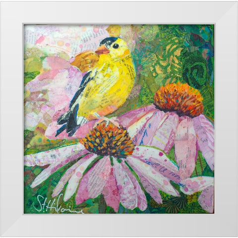 Finch on Coneflowers White Modern Wood Framed Art Print by St Hilaire, Elizabeth