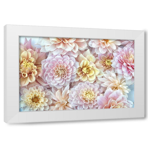 Dahlia Tapestry I White Modern Wood Framed Art Print by Stalus, Judy
