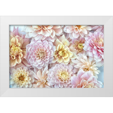 Dahlia Tapestry I White Modern Wood Framed Art Print by Stalus, Judy