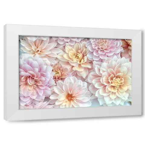 Dahlia Tapestry II White Modern Wood Framed Art Print by Stalus, Judy