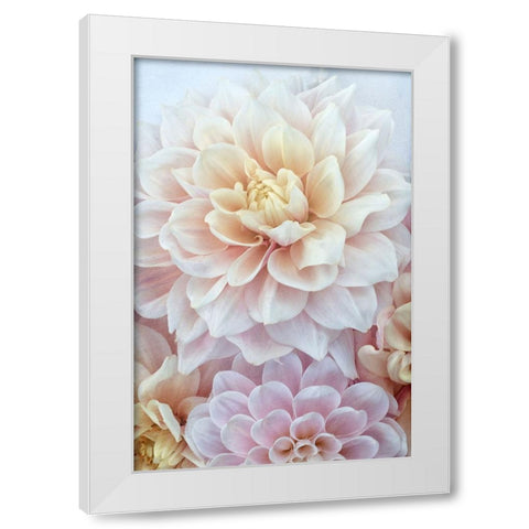 Dahlia Dream White Modern Wood Framed Art Print by Stalus, Judy
