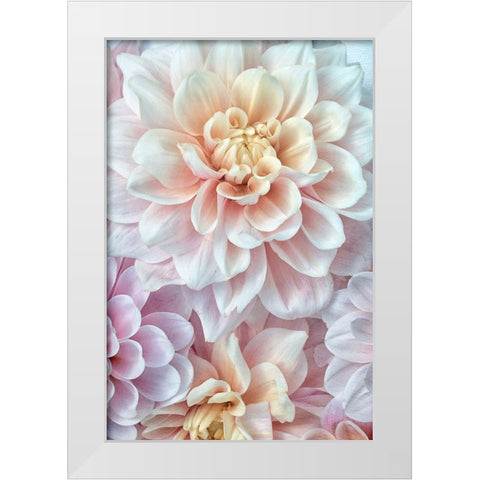 Pink and Gold White Modern Wood Framed Art Print by Stalus, Judy