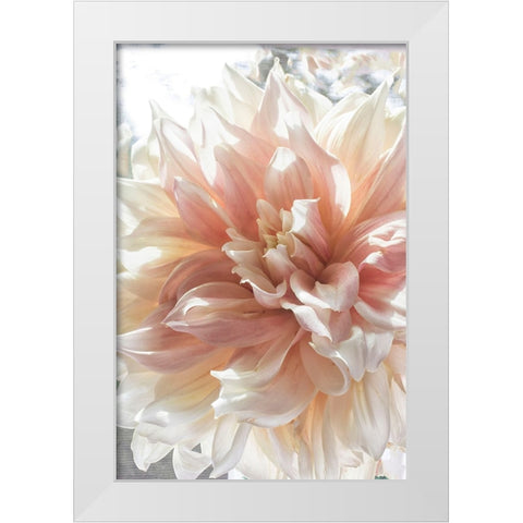 Dazzle White Modern Wood Framed Art Print by Stalus, Judy