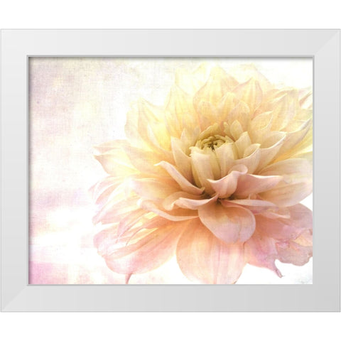 Golden Touch White Modern Wood Framed Art Print by Stalus, Judy