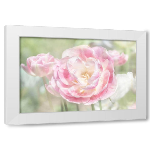 Tulips White Modern Wood Framed Art Print by Stalus, Judy
