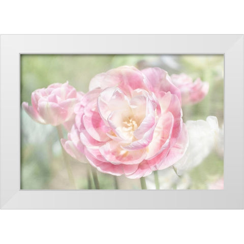 Tulips White Modern Wood Framed Art Print by Stalus, Judy