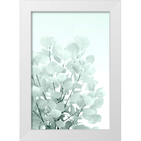 Sweet Shrub White Modern Wood Framed Art Print by Stalus, Judy