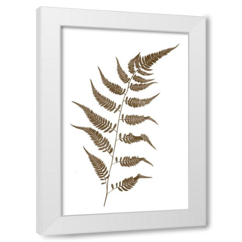 Fern White Modern Wood Framed Art Print by Stalus, Judy