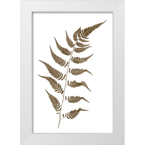 Fern White Modern Wood Framed Art Print by Stalus, Judy