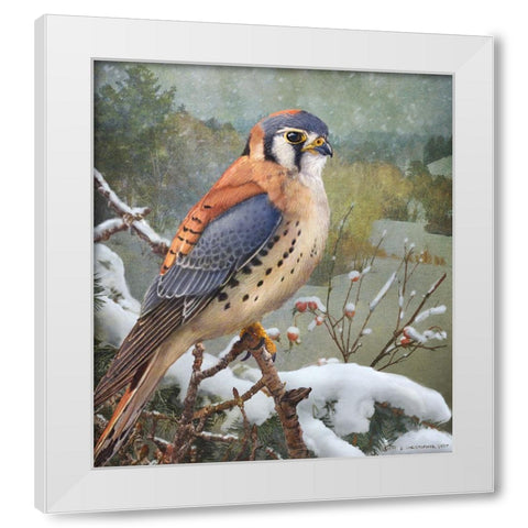 In Snowscape Kestrel White Modern Wood Framed Art Print by Vest, Christopher