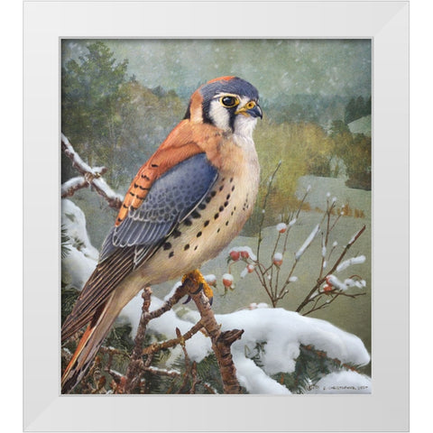 In Snowscape Kestrel White Modern Wood Framed Art Print by Vest, Christopher