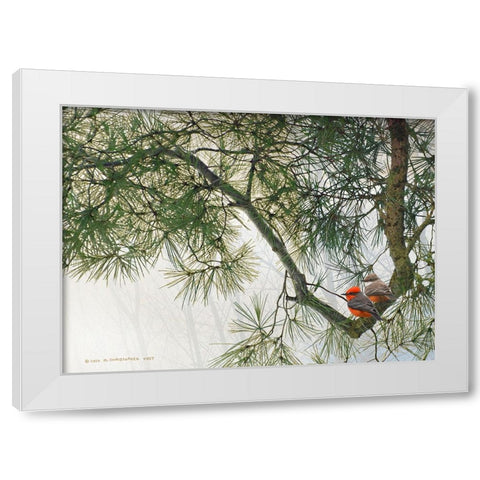Bent Pine Bough with Vermillion Flycatchers White Modern Wood Framed Art Print by Vest, Christopher