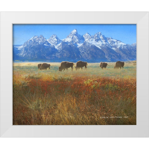 Meadow Grass Grand Teton White Modern Wood Framed Art Print by Vest, Christopher