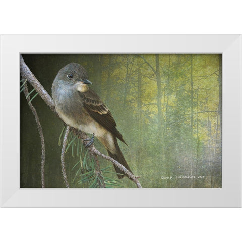 Western Wood Peewee White Modern Wood Framed Art Print by Vest, Christopher