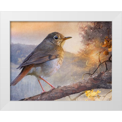 Hermit Thrush Hillside Drive White Modern Wood Framed Art Print by Vest, Christopher