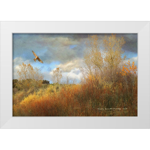 Willow Cottonwood Gulley White Modern Wood Framed Art Print by Vest, Christopher