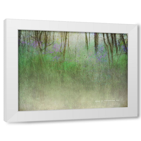 Glimpse of the Lake White Modern Wood Framed Art Print by Vest, Christopher
