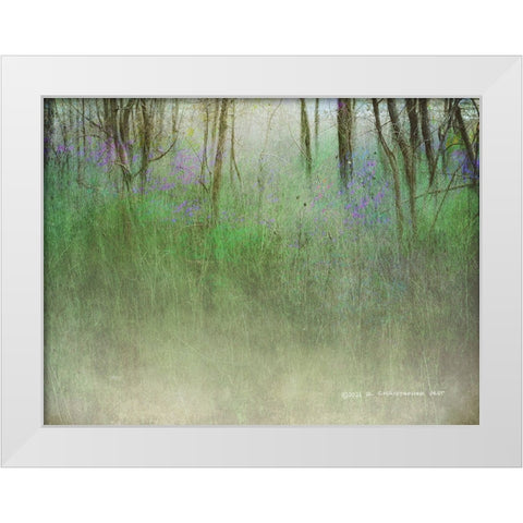 Glimpse of the Lake White Modern Wood Framed Art Print by Vest, Christopher