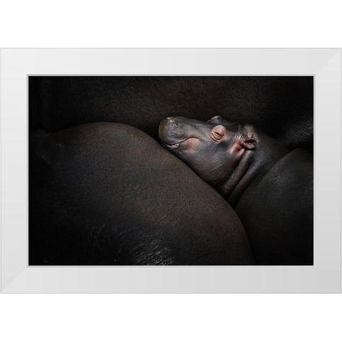 Dreamin White Modern Wood Framed Art Print by Vales, Zdenek