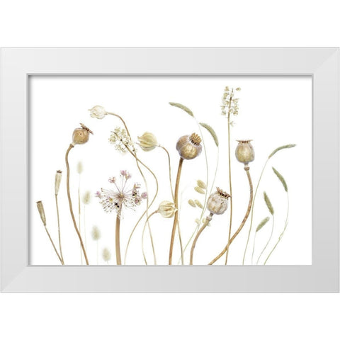Pods White Modern Wood Framed Art Print by Disher, Mandy