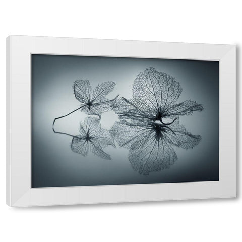 Ephemeral Beauty White Modern Wood Framed Art Print by Kowatari, Shihya