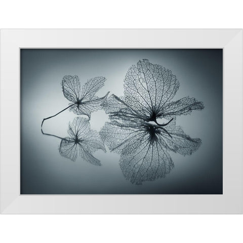 Ephemeral Beauty White Modern Wood Framed Art Print by Kowatari, Shihya