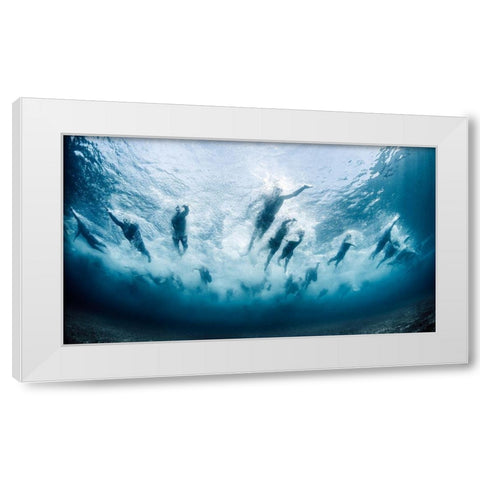 Swim White Modern Wood Framed Art Print by Lopresti, Davide