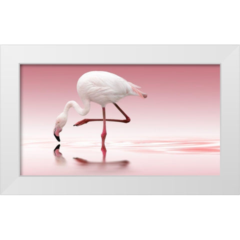 Flamingo White Modern Wood Framed Art Print by Reindl, Doris