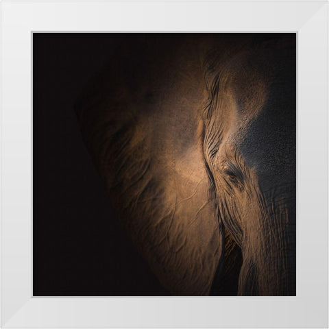 Gentle Giant White Modern Wood Framed Art Print by Wolbers, Louise