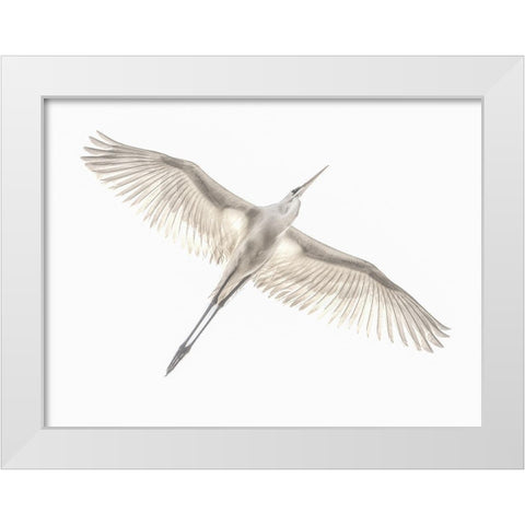 Fly White Modern Wood Framed Art Print by Or, Keren
