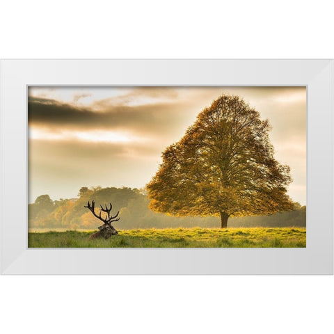 Untitled White Modern Wood Framed Art Print by Thomas, Tudor