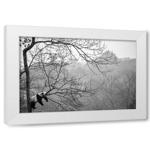 Relax White Modern Wood Framed Art Print by Catta, Alessandro