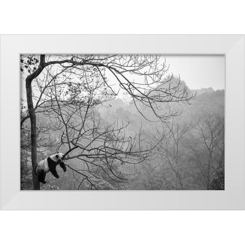 Relax White Modern Wood Framed Art Print by Catta, Alessandro