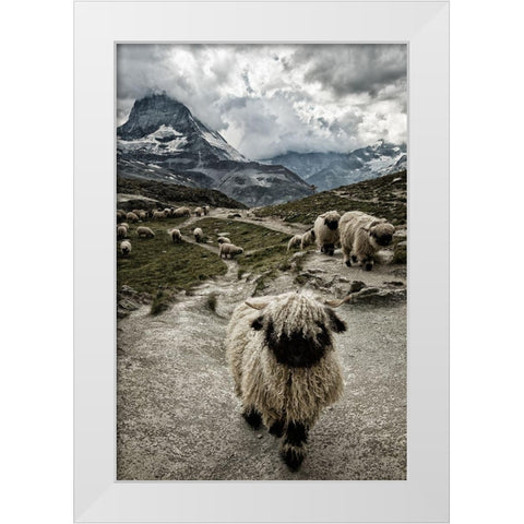 Out of my way White Modern Wood Framed Art Print by Landolt, Susanne