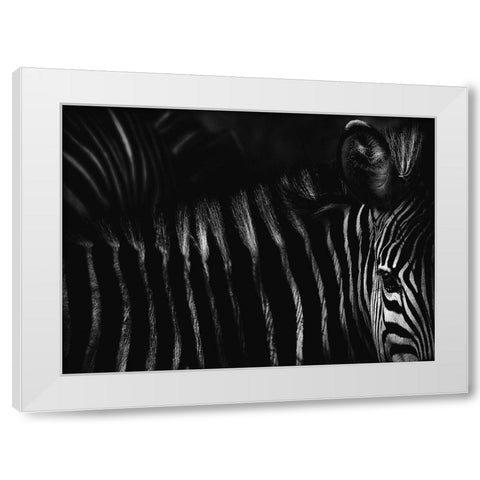 Untitled White Modern Wood Framed Art Print by Grambone, Antonio